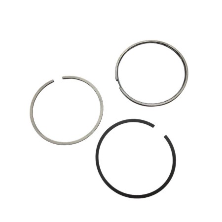 Segment game std Yanmar 3TNE74