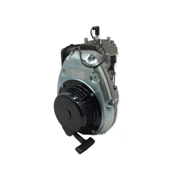 MOTOR MINSEL M165 TO IZQUIERDAS MOTOAZADA AGRIA