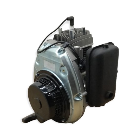 MOTOR MINSEL M165 A DERECHAS MOTOAZADA MOLLON
