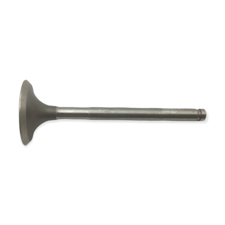 Valve intake Minsel Ruggerini 33X95X7mm