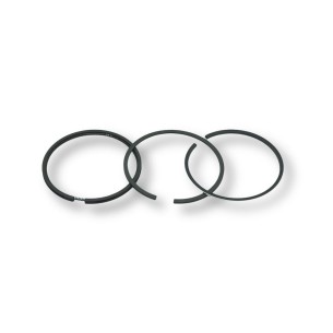 Segment set std Lombardini 6LD325