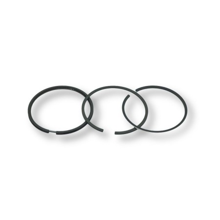 Conjunto de segmentos padrão Lombardini 6LD325
