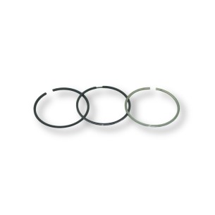 Jeu de segments standard Lombardini LDW 2004/T,LDW 2204/T