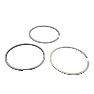 Segments std Lombardini 5LD930-3,5LD930-4