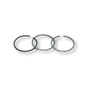 Conjunto de segmento padrão Lombardini 15LD225