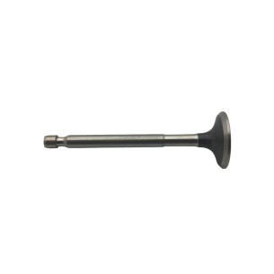 Intermotor valve 1IM300, 350, 359