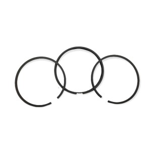 Jeu de segments Lombardini 1IM350 + 1.00mm