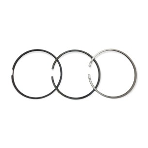 Jeu de segments +1,00 Lombardini LDW 1503,LDW 1603,LDW 2004,LDW 2204