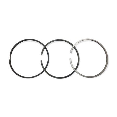 Conjunto de segmentos +1,00 Lombardini LDW 1503,LDW 1603,LDW 2004,LDW 2204