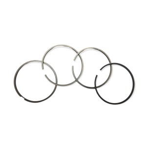 Set mit 4 Ringsegmenten +1,00 Lombardini 4LD705
