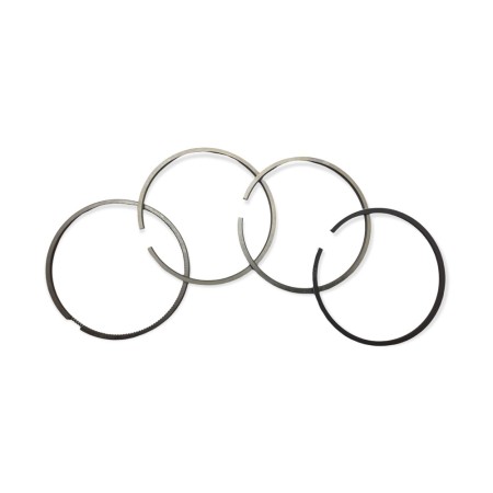 Conjunto de 4 segmentos de anel +1,00 Lombardini 4LD705