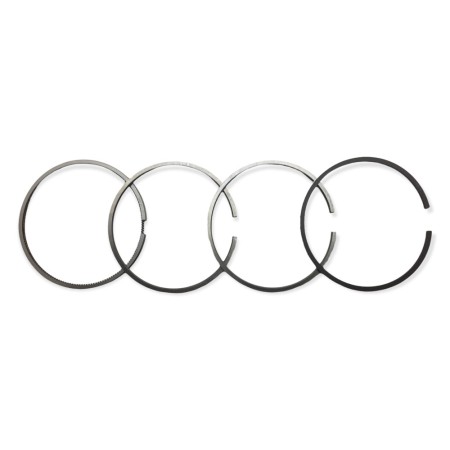 Conjunto de segmentos +0,50 Lombardini 4LD820