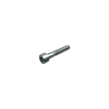 Lombardini-Schraube 9730016 M6 x 35