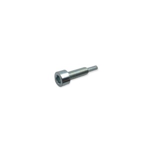 Lombardini-Einspritzpumpen-Befestigungsschraube LDW 1603, 2204