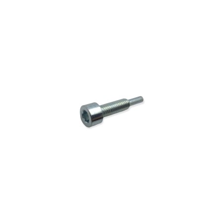 Lombardini-Einspritzpumpen-Befestigungsschraube LDW 1603, 2204