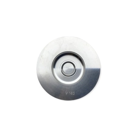 Piston STD without Yanmar 4TNV98 segments