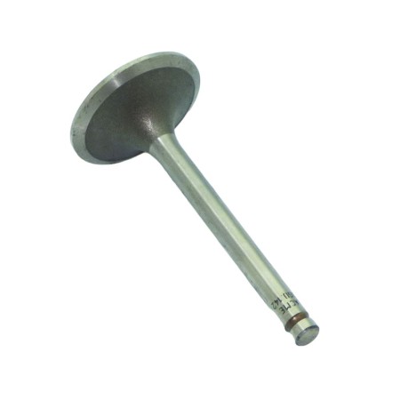 Valvula admision Lombardini LGA 340