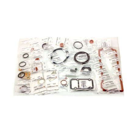Juego juntas completo Lombardini LDW442 y LDW 492