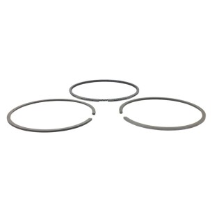 Juego segmentos +0.50 Lombardini LDW 1503-2004