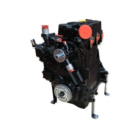 Motor Lombardini LDW 1603 Reconstruido (Obsoleto)