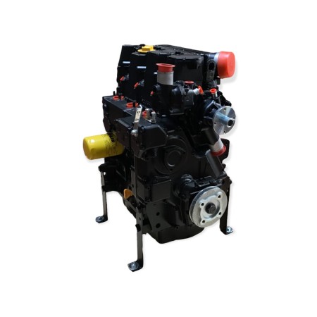 Motor Lombardini LDW 1603 Reconstruido (Obsoleto)