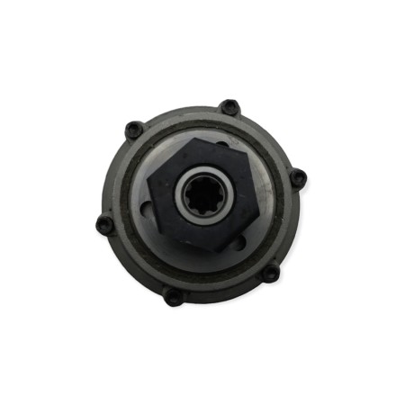 Lombardini BCS Motorpinnenkupplung, Benassi, Bertolini, Eurosystem