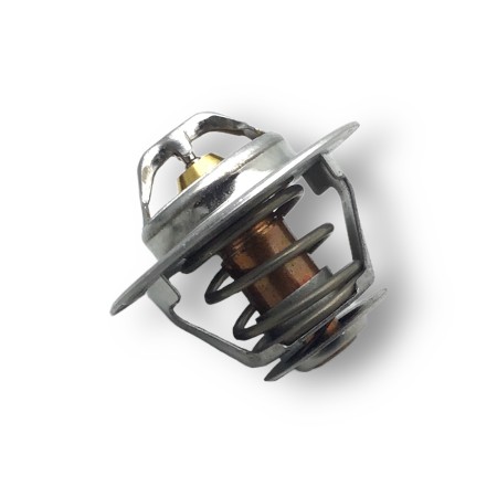 Thermostat d'eau Iveco-Fpt