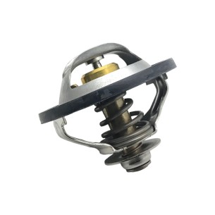 Thermostat d'eau Iveco-Fpt