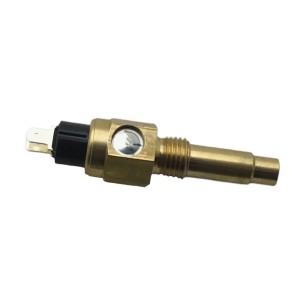 Sensor Temperatura Agua Iveco-Fpt