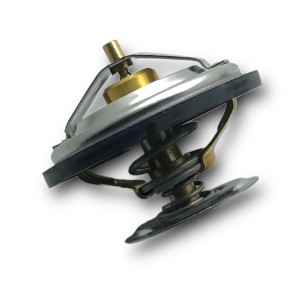 Iveco-Fpt Water Thermostat