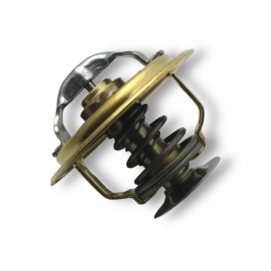 Iveco-Fpt Water Thermostat