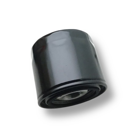 Filtro Aceite Iveco-Fpt