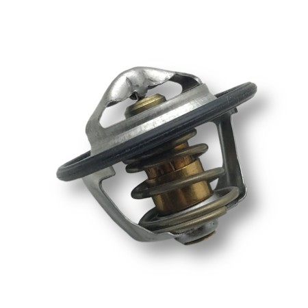 Termostato Agua Iveco-Fpt