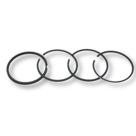 Segmentsatz +1,00 Lombardini LDA 530 4 Ringe