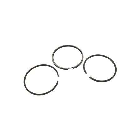 Conjunto de anéis +1,00 Intermotor 1IM250