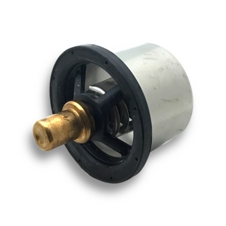Termostato Agua Iveco-Fpt