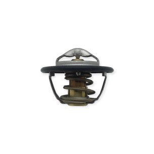 Thermostat d'eau Iveco-Fpt