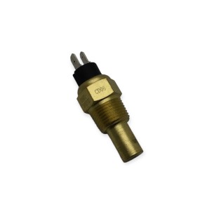 Raywin Engine Temperature Sensor