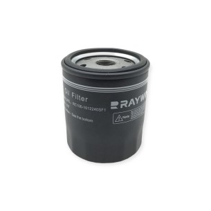 Filtro aceite Raywin