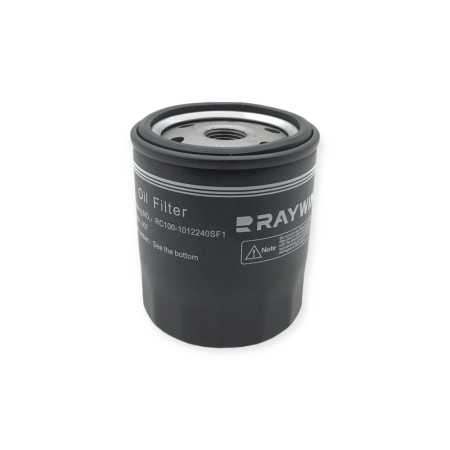 Filtro aceite Raywin