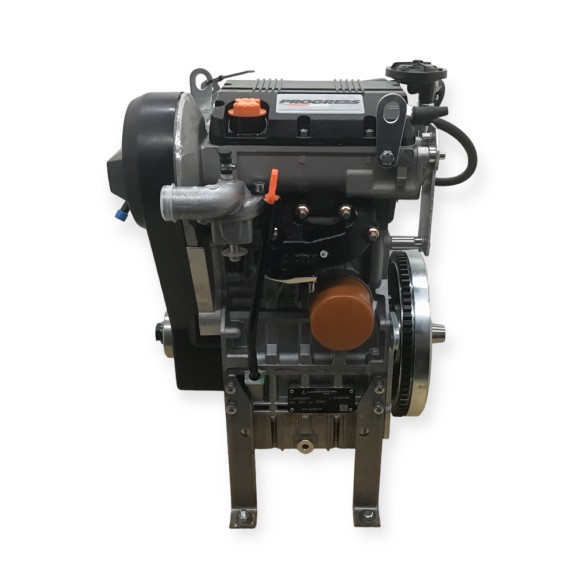 Véhicule sans permis Lombardini Allégé Moteur LDW 502