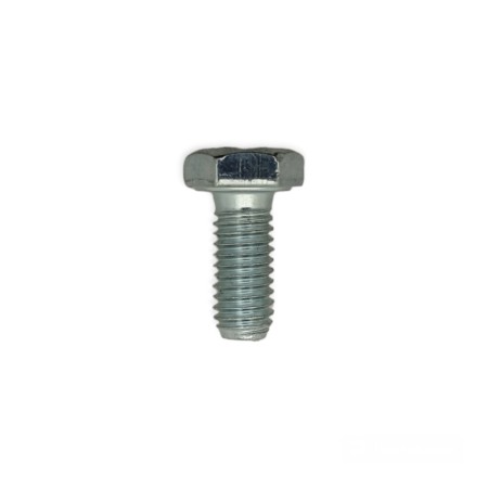 Lombardini screw M6X1X14