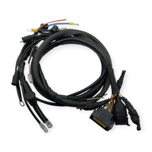 Instalacion electrica Lombardini LDW 1603, 2204