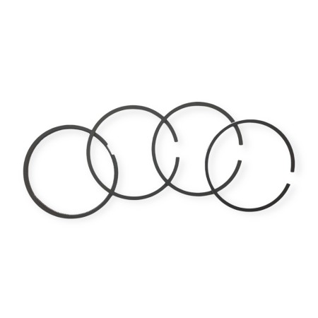 Segment set +1.00 Lombardini LDA 520