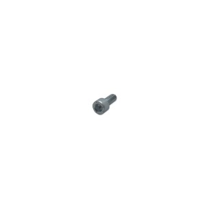 Parafuso m 6 x 14 Lombardini ED0097301070-S