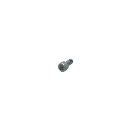 Parafuso m 6 x 14 Lombardini ED0097301070-S