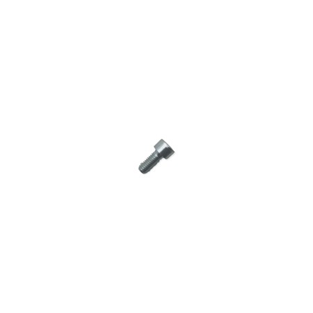 Schraube m 6 x 14 Lombardini ED0097301070-S
