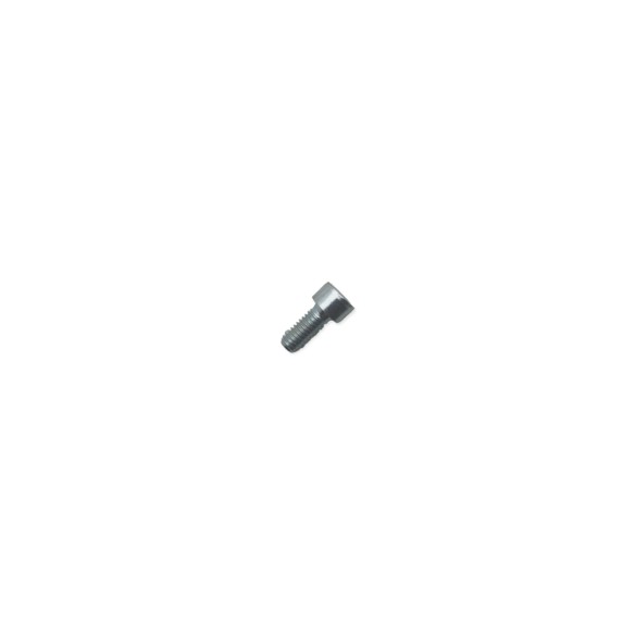 Screw m 6 x 14 Lombardini ED0097301070-S