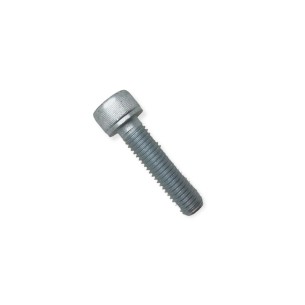 Vis de démarreur Lombardini LDW M10x40