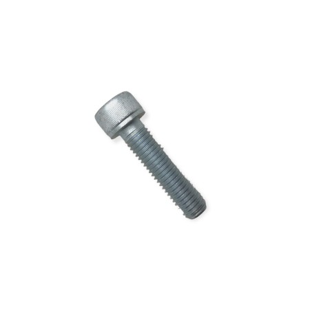 Lombardini LDW M10x40 Anlasserschraube